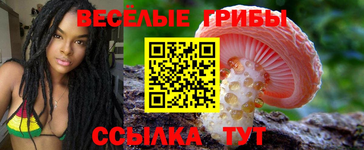 Галлюциногенные грибы Magic Shrooms Верхний Уфалей